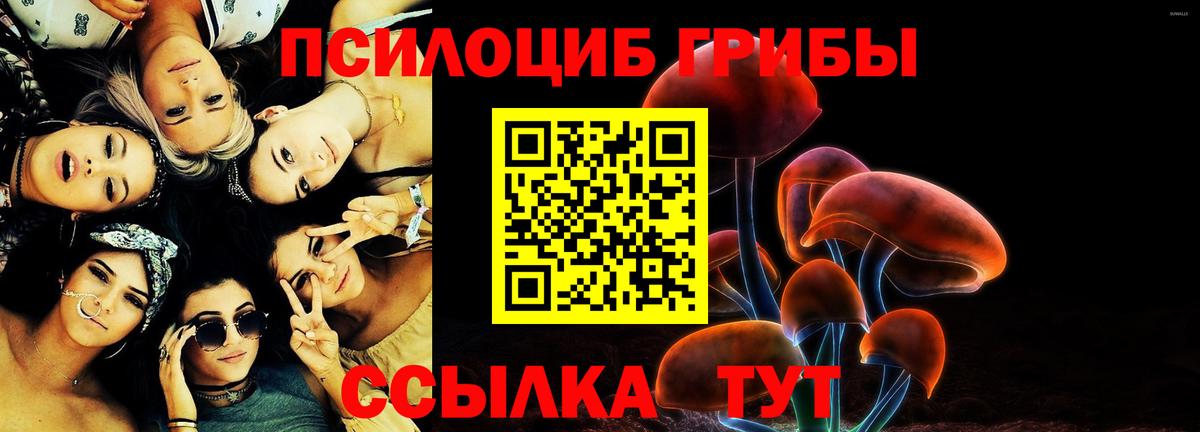Галлюциногенные грибы Cubensis Татарск